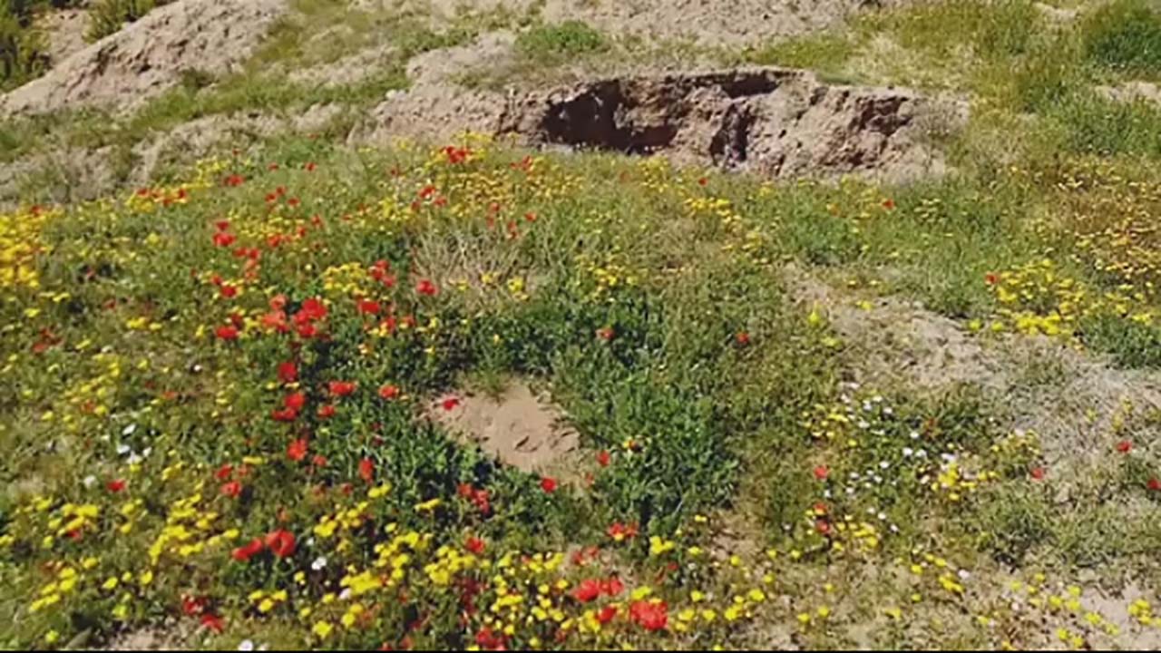 نمایی از طبیعت بهاری در روستای دوست‌آبادبالا  + فیلم
