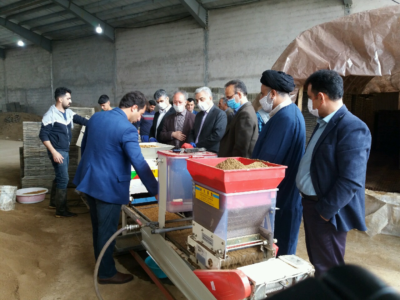 کرونا، نتوانست جلوی تولید و کشت برنج را در گیلان بگیرد