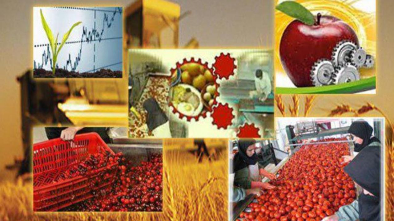  افزایش ۴۰هزار تنی ظرفیت فرآوری کشاورزی در خراسان شمالی