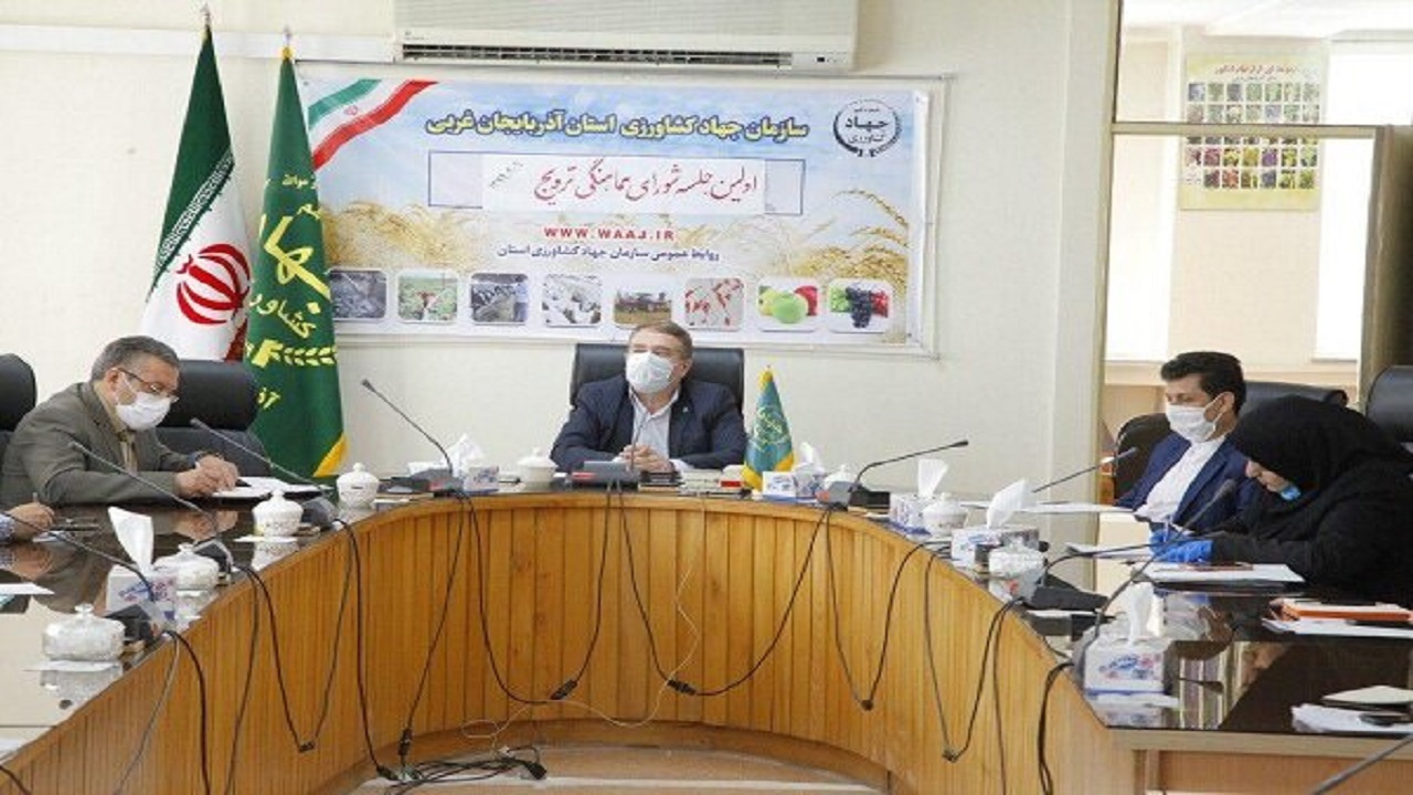 بیش از ۲۵ درصد سهم ارزش افزوده استان مربوط به بخش کشاورزی است