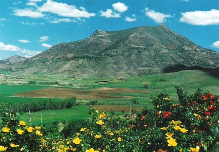 حال و هوای زیارت در کوه آربابای بانه + تصاویر