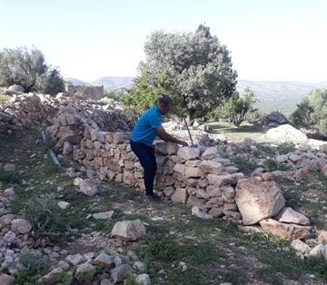 خشکه چینی اطراف سرو کهنسال کلانی کازرون