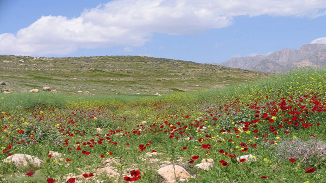 ممنوعیت شکار در منطقه غرب شیراز