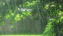 جایگاه نهم استان مرکزی در افزایش متوسط بارش سال زراعی