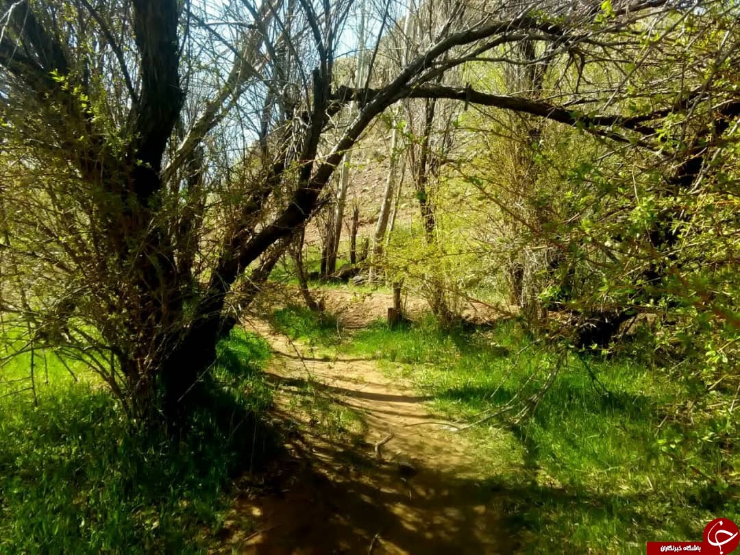 طبیعت&zwnj; بهاری روستای رودخانه بخش رخ