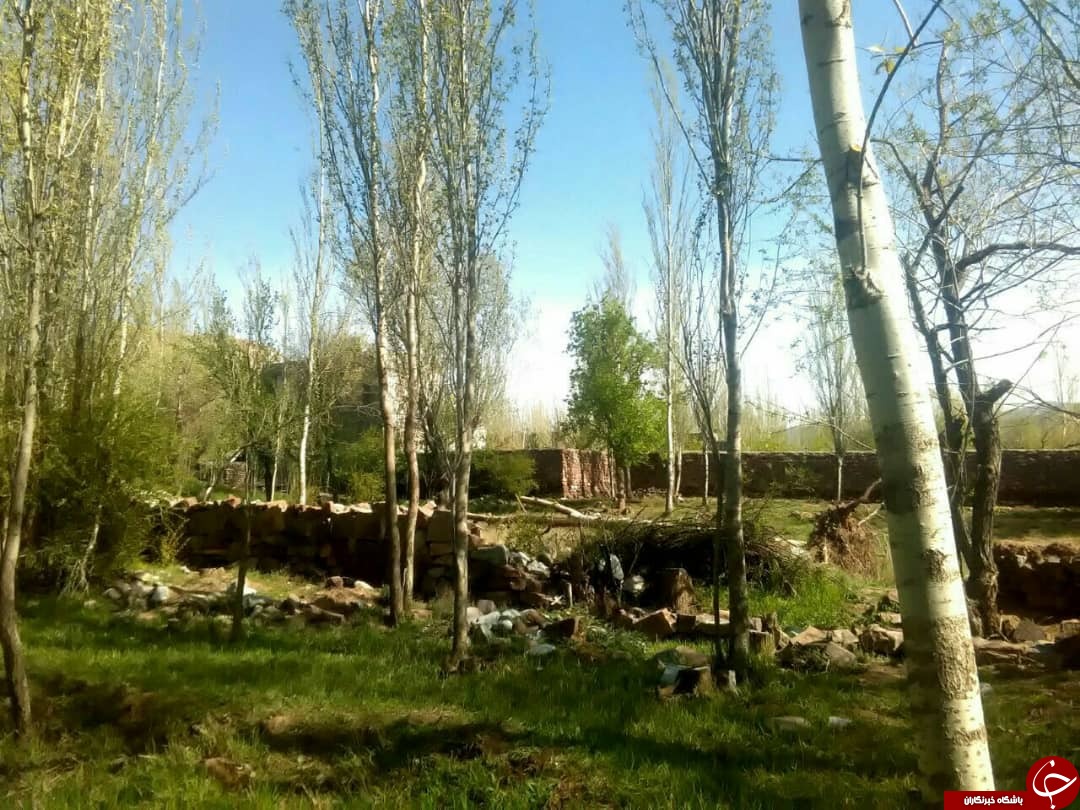 طبیعت&zwnj; بهاری روستای رودخانه بخش رخ
