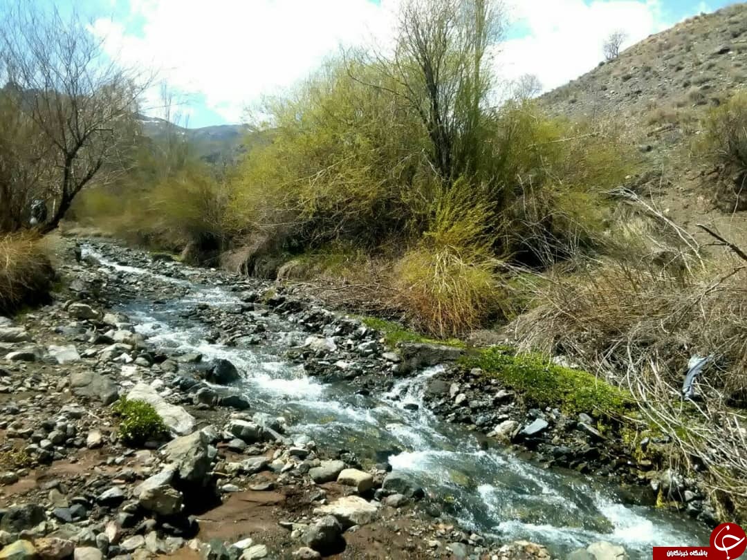 طبیعت&zwnj; بهاری روستای رودخانه بخش رخ