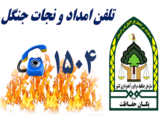 تخلفات در عرصه‌های منابع طبیعی را با ۱۵۰۴ گزارش دهید