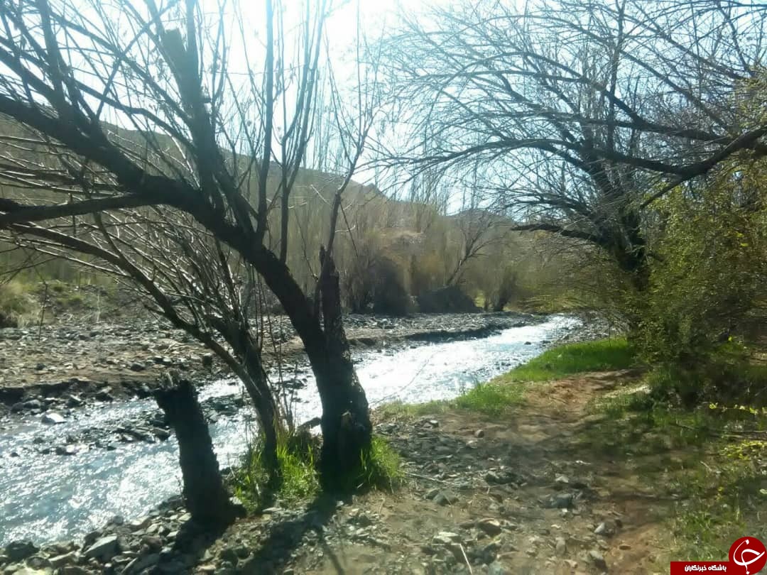 رخ نمایی طبیعت&zwnj; بهاری روستای رودخانه بخش رخ در قاب تصویر
