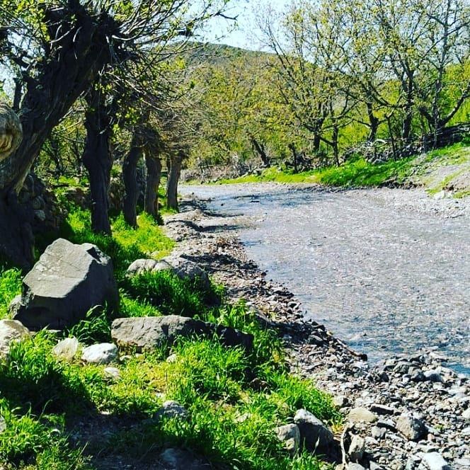 سفری مجازی به شهر ملی ابریشم کشی