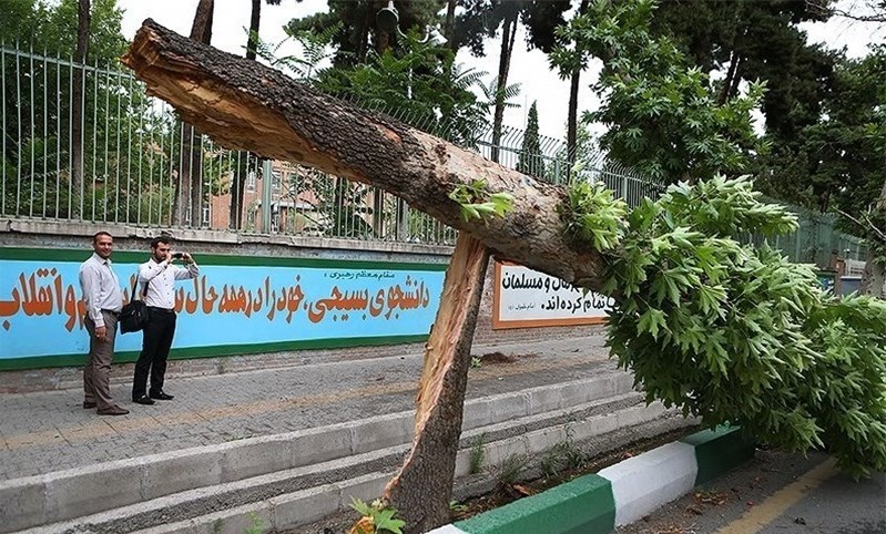 باغ&zwnj;های پسته مه ولات زیر رگبار تگرگ