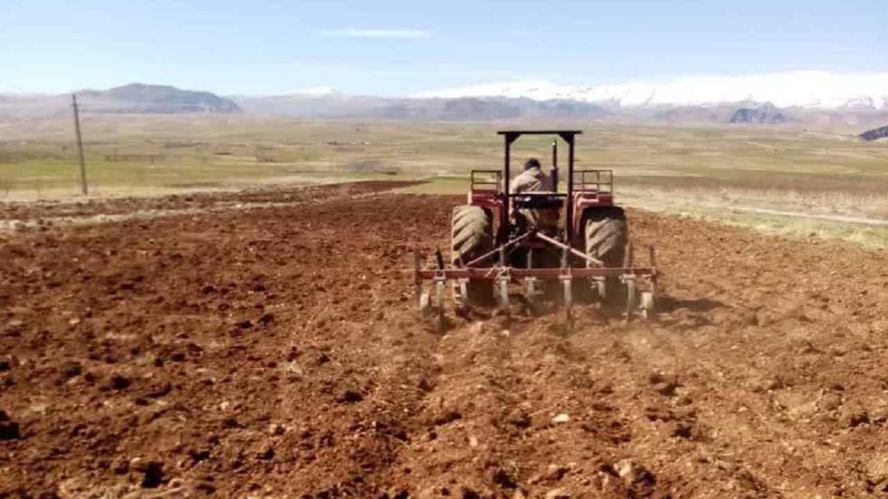 اجرای کشت پایلوت الگویی سیاه دانه در اردل