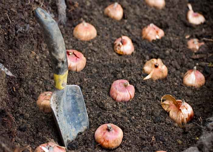 رَنجِ بی گنج ،دستان خالی و قصه&zwnj;های پرغصه کشاورزان کرمانی