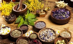 اعطای مجوز اولین موزه خصوصی گیاهان دارویی در زنجان
