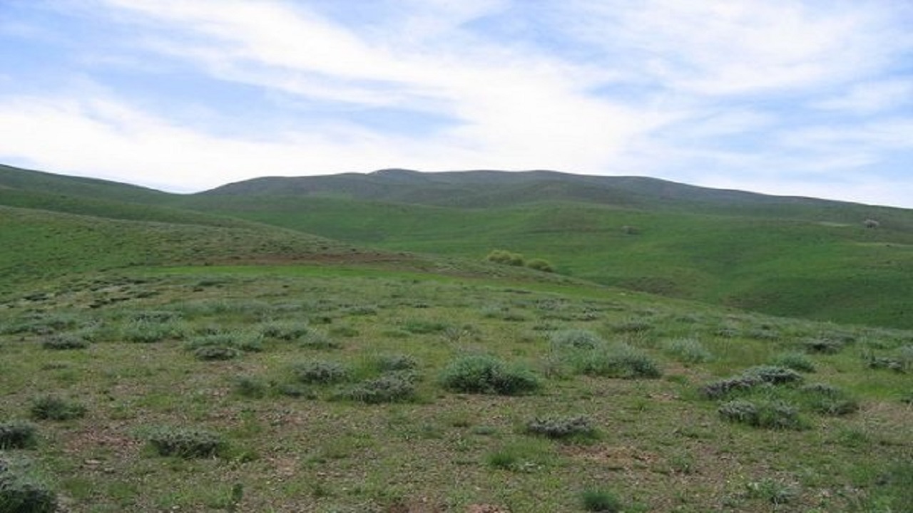 اصلاح و احیاء بیولوژیک مراتع در سطح ۴۰۰ هکتار در شهرستان مهدیشهر