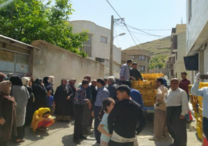 توزیع ۱۵۰۰ مرغ زنده بین نیازمندان مهابادی