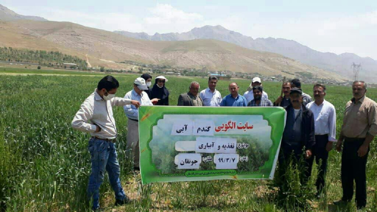 برگزاری کارگاه آموزشی با محوریت زراعت گندم در جونقان