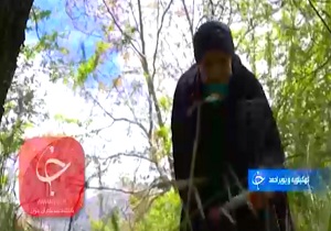 بانویی از سرزمین دنا تا مهریه دردسرساز+فیام