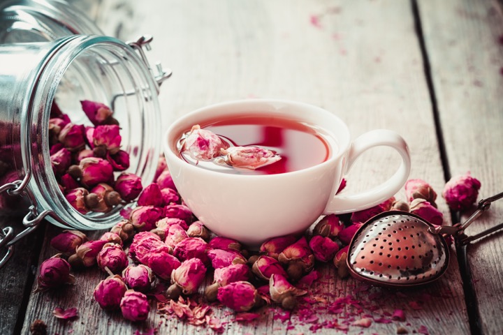 شمیم عِطر گُل محمدی در گلزارهای فارس/میمند تولیدکننده گلاب در ایران