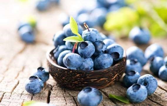 چگونه مغز خود را با خوراکی&zwnj;ها تقویت کنیم؟