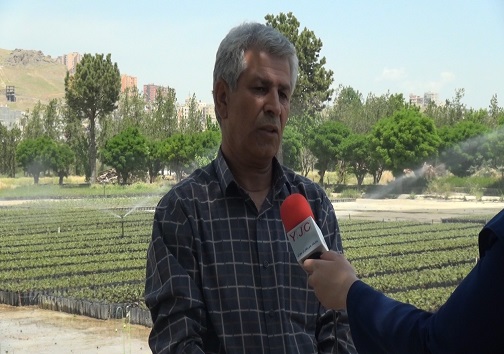 تحقق مهاجرت معکوس به روستاها/مسئولانی که پای کار آمدند