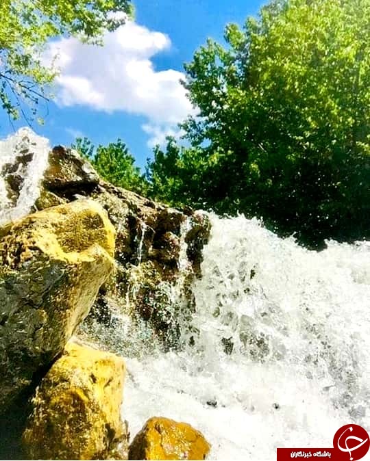 بوژان نیشابور