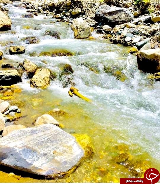 بوژان نیشابور