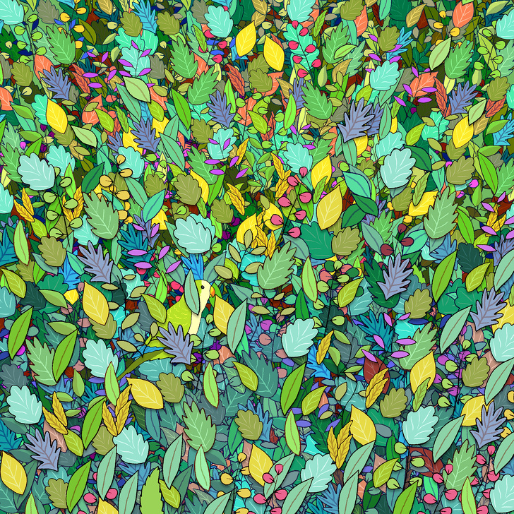 بازی اشیای مخفی: اجسام مخفی را پیدا کنید + تصاویر بازی اشیای مخفی: اجسام مخفی را پیدا کنید + تصاویر