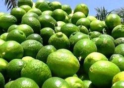کشف یک تن لیموترش احتکار شده در زنجان