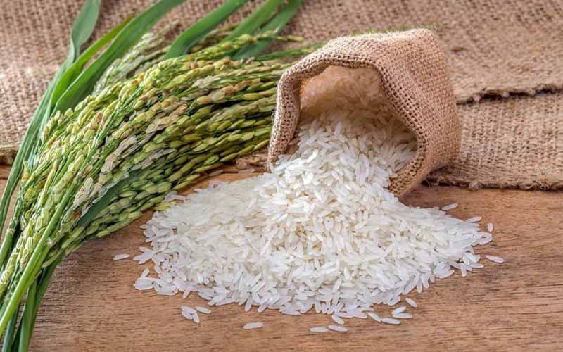 تخصیص ارز برای ترخیص ۵۰۰ هزار تن برنج خارجی