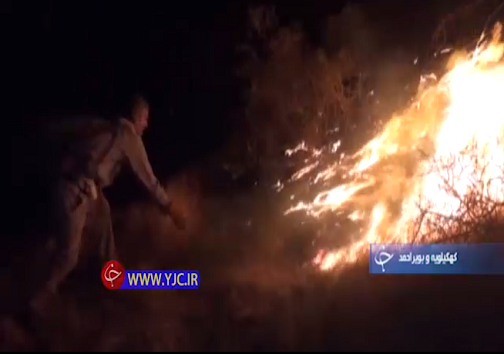 کیسه&zwnj;ای سرخ که زندگی می&zwnj;بخشد تا سوختن ناراحت کننده حیوانات در آتش سوزی جنگل های خائیز کهگیلویه +فیلم