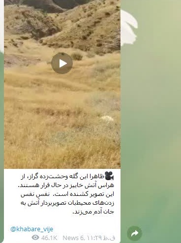 خاکستر شایعات در چشم خائیز کهگیلویه/ از گاف بزرگ رسانه سعودی تا دروغ کارشناس بیبیسی فارسی + تصاویر خاکستر شایعات در چشم خائیز کهگیلویه/ از گاف بزرگ رسانه سعودی تا دروغ کارشناس بیبیسی فارسی + تصاویر