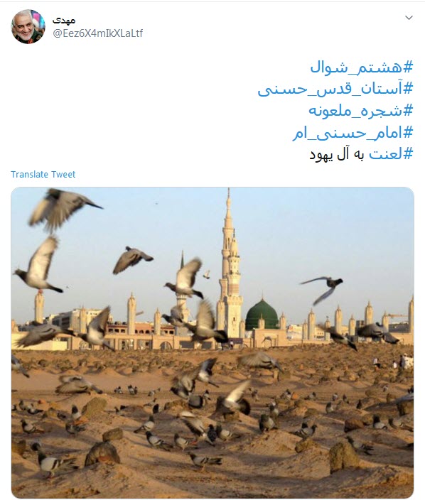 شیعِه می&zwnj;سازد حرم روزی برایت یا حسن؛ بعد از آن چشم ملائک سوی باب القاسِم است
