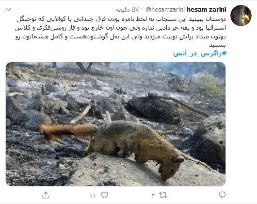 زاگرس در بی&zwnj;خبری سلبریتی&zwnj;ها دارد می&zwnj;سوزد؛ ببخشید که ما کوالا نداریم!