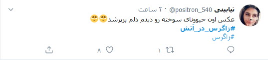 زاگرس در بی&zwnj;خبری سلبریتی&zwnj;ها دارد می&zwnj;سوزد؛ ببخشید که ما کوالا نداریم!