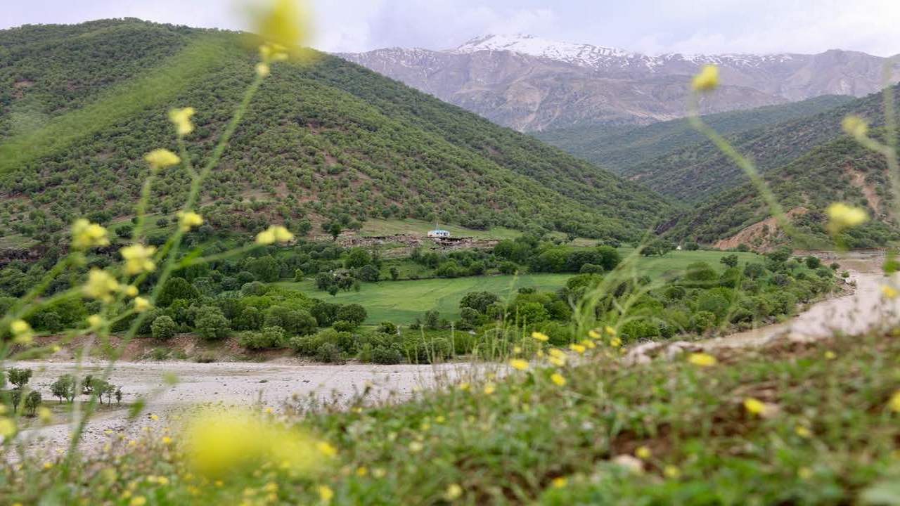 هوا