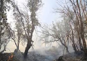 لرستان برای مقابله با حریق در مراتع و جنگل‌ها آمادگی دارد