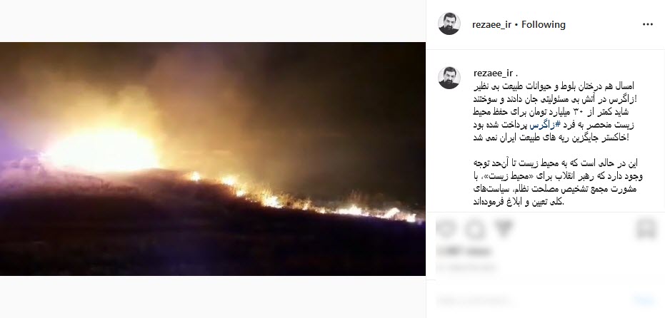 محسن