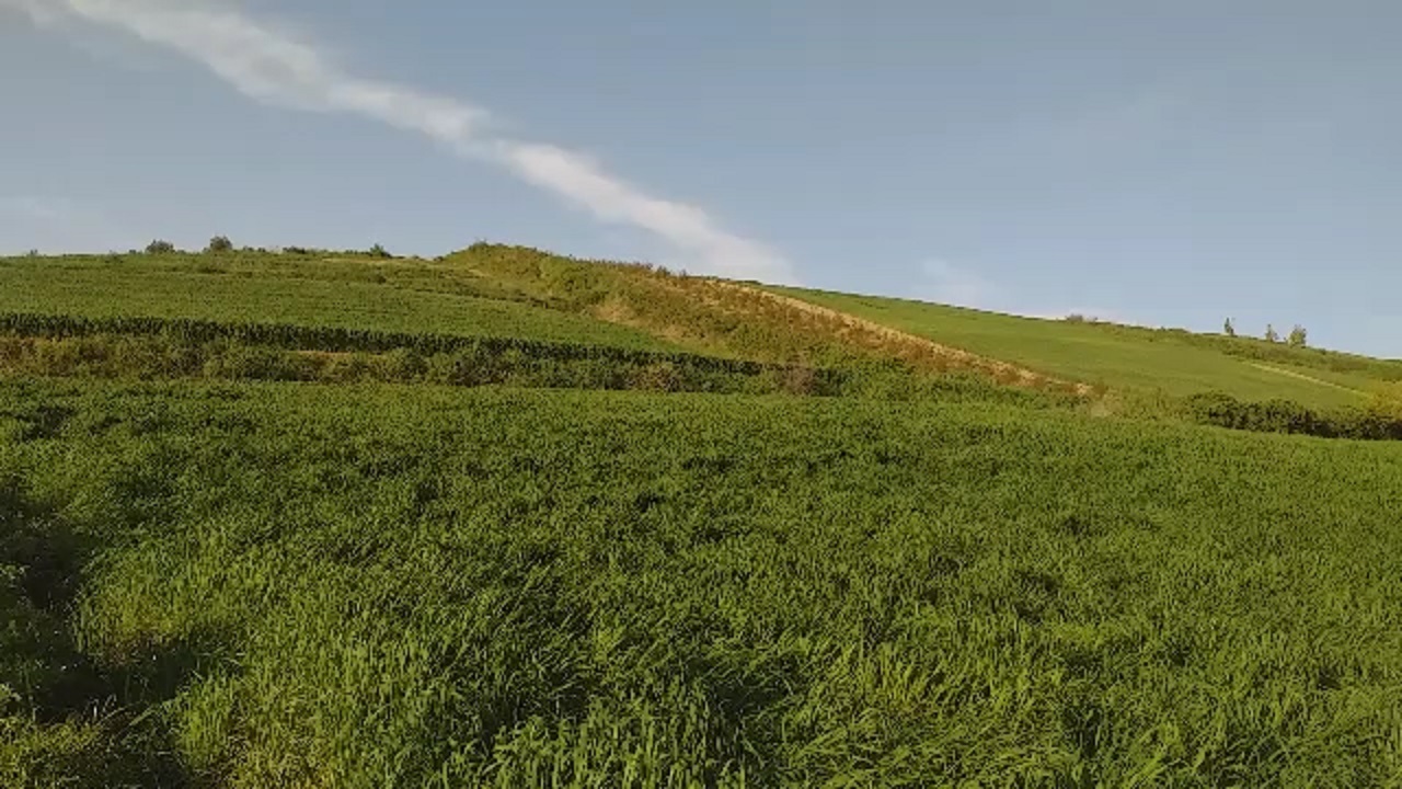 نمایی از طبیعت چشم‌نواز روستای مرزبن + فیلم