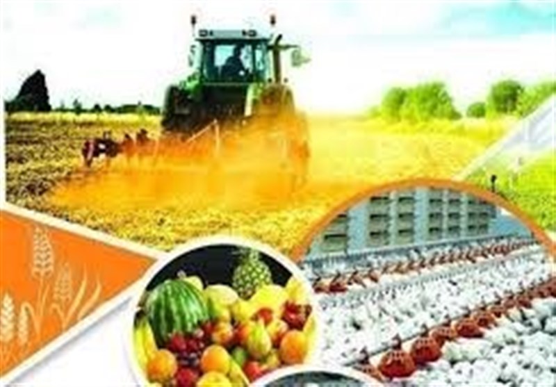 خروج کشور از مشکلات اقتصادی با جهش تولید ممکن می‌شود