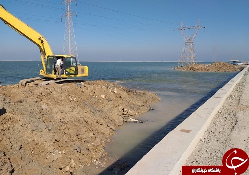 محیط زیست سالم یعنی به آغوش گرفتن سلامتی