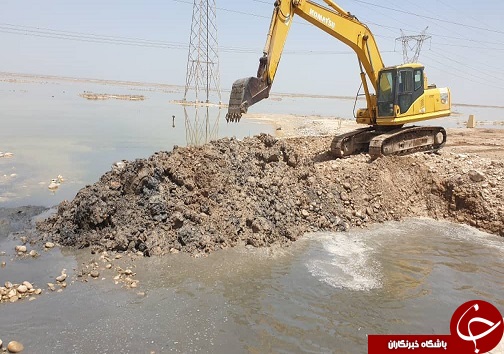 محیط زیست سالم یعنی به آغوش گرفتن سلامتی