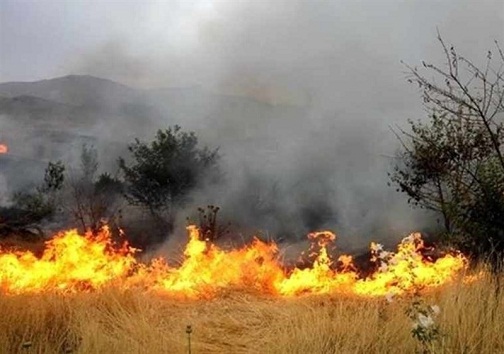 آتش گرفتن خرمن جو در روستای کوشک تلخ درغک