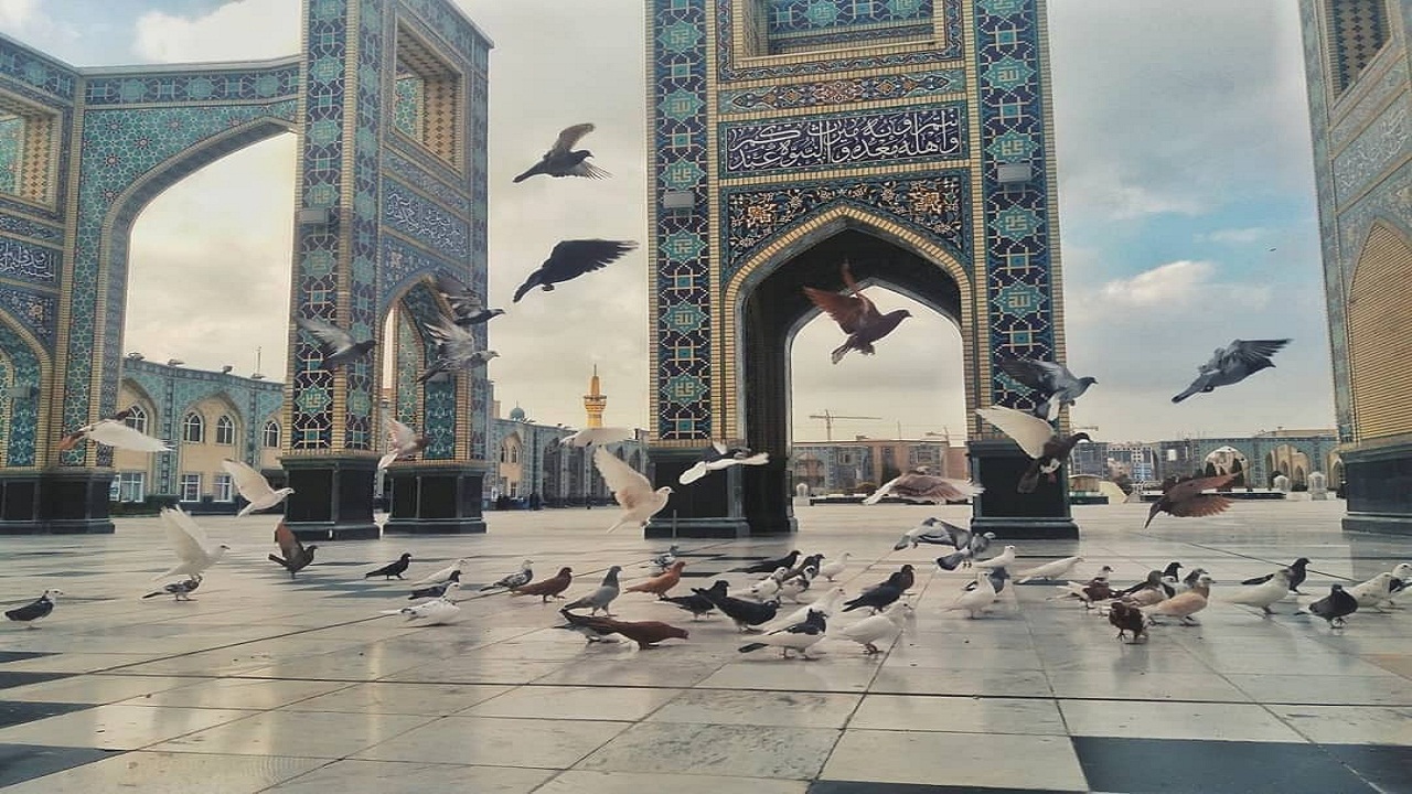 ناگفته های وزیر بهداشت از بستن حرم مطهر رضوی/دخالتی در ساعات بازگشایی صحن نخواهیم کرد