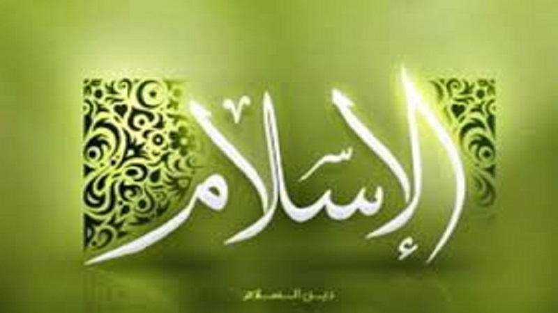 آیا متهم پرونده رومینا ضعف احکام دینی است؟! / آیا پدر می&zwnj;تواند فرزند خود را به قتل برساند؟