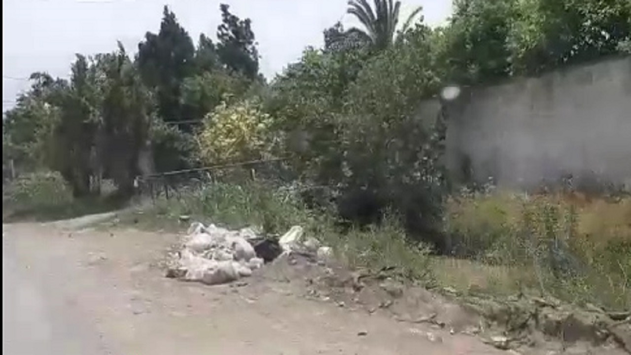 زباله&zwnj;هایی که در معابر روستای &laquo;علی&zwnj;آباد&raquo; جا خوش کردند! + فیلم