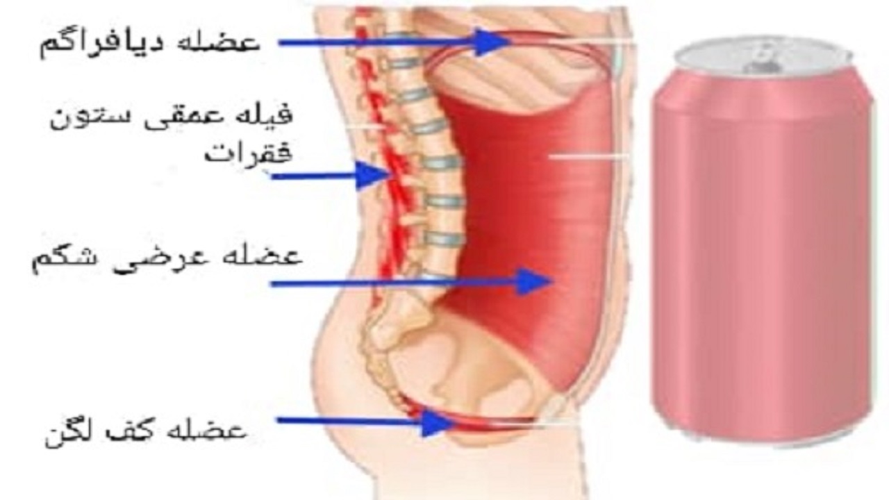 نقش عضلات مرکزی در انجام فعالیت‌های روزانه