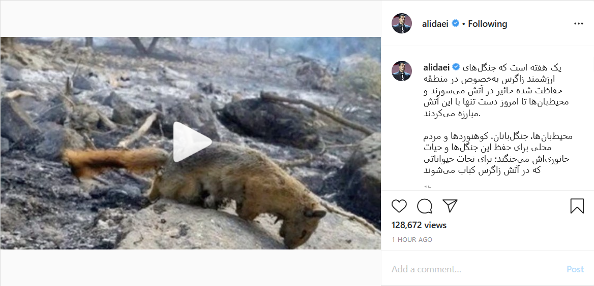 واکنش علی دایی به آتش&zwnj;سوزی جنگل&zwnj;های زاگرس؛ تبریک تولد فوتبالیست معروف به فرزندش؛ مرتضی پورعلی&zwnj;گنجی روز کودک را به برادرزاده&zwnj;اش تبریک گفت