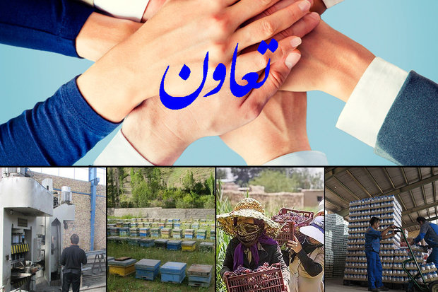 اشتغال زایی برای یک میلیون و ۸۰۰ هزار نفر توسط بخش تعاون