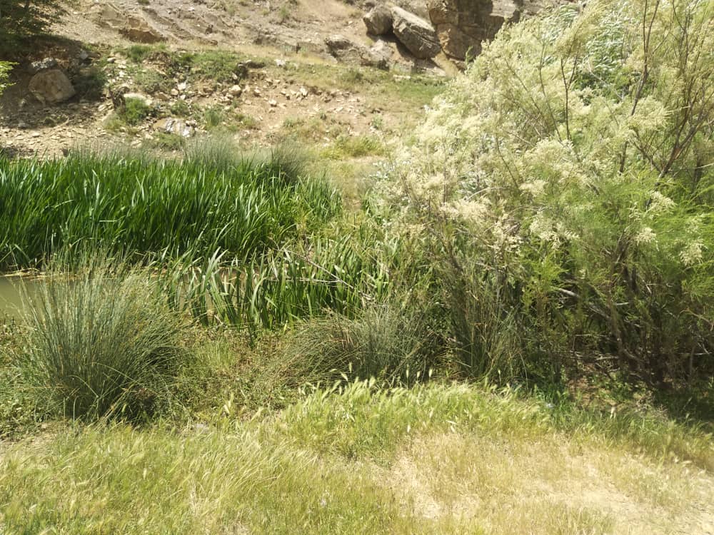 دربند، در سایه بی تدبیری مسئولین در حال نابودی است دربند، در سایه بی تدبیری مسئولین در حال نابودی است